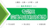 藻类与植物的类群（4大考点+要点速记+真题检测）2025学年七年级生物上学期期末考点大串讲人教版课件