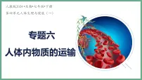 人体内物质的运输（3大考点）2025学年七年级生物下学期期末考点大串讲人教版课件