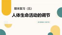 第五章+人体生命活动的调节（7大知识）2025学年七年级生物下学期期末考点大串讲冀少版课件