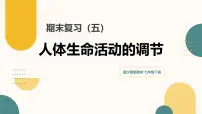 第五章+人体生命活动的调节（7大知识）2025学年七年级生物下学期期末考点大串讲冀少版课件