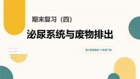 第四章+泌尿系统与废物排出（3大知识）-2025学年七年级生物下学期期末考点大串讲冀少版课件