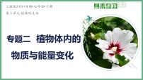 植物体内的物质与能量变化（4大考点）2025学年七年级生物下学期期末考点大串讲人教版课件