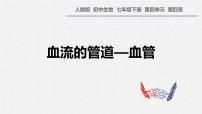 人教版（2024）七年级下册（2024）血流的管道—血管多媒体教学ppt课件