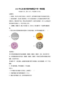 2025年山东省济南市槐荫区中考一模生物试题（解析版）