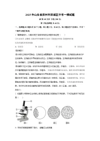2025年山东省滨州市滨城区中考一模生物试题（解析版）