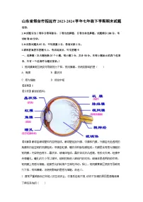 山东省烟台市招远市2023-2024学年七年级下学期期末生物试题（解析版）