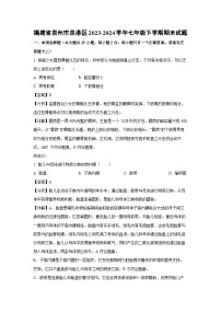 福建省泉州市泉港区2023-2024学年七年级下学期期末生物试题（解析版）