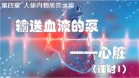 人教版（2024）七年级下册（2024）输送血液的泵—心脏多媒体教学ppt课件