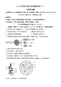 山东省泰安市东平县2025年中考二模 生物试题