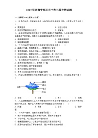 湖南省邵阳市2025年中考二模 生物试题（含解析）
