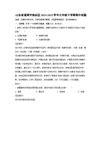 山东省淄博市张店区2024-2025学年七年级下学期期中生物试卷（解析版）