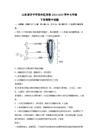 山东省济宁市兖州区多校2024-2025学年七年级下学期期中生物试卷（解析版）