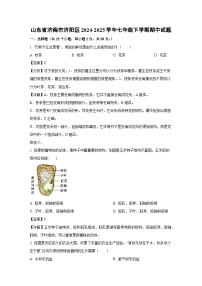 山东省济南市济阳区2024-2025学年七年级下学期期中生物试卷（解析版）