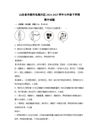 山东省济南市东南片区2024-2025学年七年级下学期期中生物试卷（解析版）