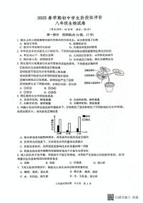 2025年江苏省泰州市兴化市八年级中考二模生物试题（中考模拟）