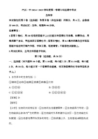 四川省内江市第一中学2024-2025学年七年级上学期期中 生物试题（含解析）