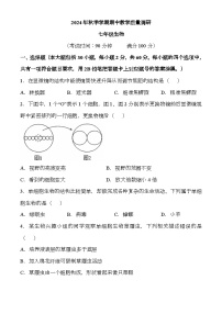 广西来宾市兴宾区2024-2025学年七年级上学期期中 生物学试题