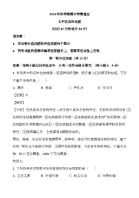 江苏省泰州市姜堰区2024-2025学年七年级上学期期中 生物试题（解析版）（含解析）