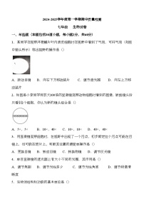 河北省保定市曲阳县2024-2025学年七年级上学期期中 生物学试题