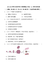 甘肃省平凉市七中教育集团2024-2025学年七年级上学期期中 生物试卷（含解析）