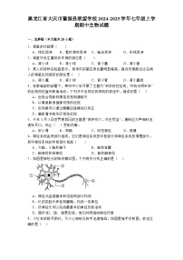 黑龙江省大庆市肇源县联盟学校2024-2025学年七年级上学期期中 生物试题