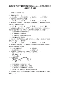 黑龙江省大庆市肇源县联盟学校2024-2025学年七年级上学期期中 生物试题