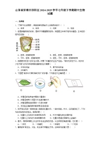 山东省济南市济阳区2024-2025学年七年级下学期期中 生物试题（含解析）
