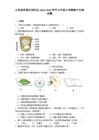 山东省济南市济阳区2024-2025学年七年级下学期期中 生物试题（含解析）