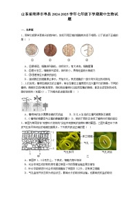 山东省菏泽市单县2024-2025学年七年级下学期期中 生物试题（含解析）