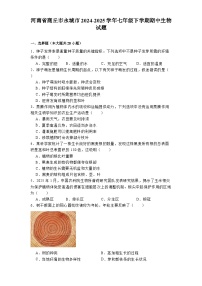 河南省商丘市永城市2024-2025学年七年级下学期期中 生物试题（含解析）