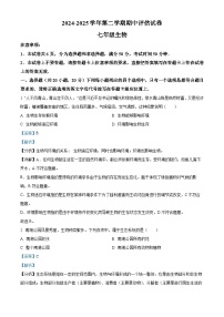 河南省平顶山市宝丰县2024-2025学年七年级下学期期中 生物试题（含解析）