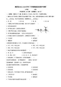 湖南省岳阳市湘阴县湘阴县洞庭四校2024-2025学年七年级下学期5月期中 生物试题