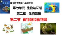 初中生物冀少版（2024）八年级下册食物链和食物网课文配套ppt课件
