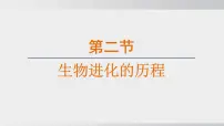 初中生物人教版（2024）八年级下册第三章 生命起源和生物进化综合与测试教课ppt课件
