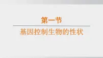 人教版（2024）八年级下册第二章 生物的遗传和变异综合与测试教课内容ppt课件