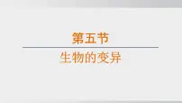 初中生物人教版（2024）八年级下册第二章 生物的遗传和变异综合与测试评课课件ppt