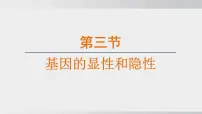 初中生物人教版（2024）八年级下册第二章 生物的遗传和变异综合与测试教案配套ppt课件