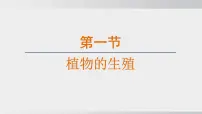 初中生物第一章 生物的生殖和发育综合与测试多媒体教学课件ppt