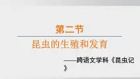 人教版（2024）八年级下册第一章 生物的生殖和发育综合与测试教学演示课件ppt