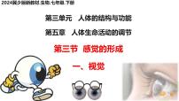 冀少版（2024）七年级下册（2024）视觉课文配套ppt课件