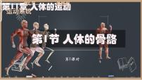 初中生物北师大版（2024）七年级下册（2024）人体的骨骼集体备课ppt课件