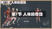 初中生物北师大版（2024）七年级下册（2024）人体的骨骼集体备课ppt课件