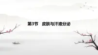 北师大版（2024）七年级下册（2024）皮肤与汗液分泌课文课件ppt