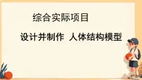 人教版（2024）七年级下册（2024）设计并制作人体结构模型图片ppt课件