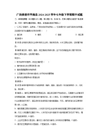 广西贵港市平南县2024-2025学年七年级下学期期中生物试卷（解析版）