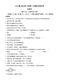 2025年河南省平顶山市鲁山县西北七校八年级中考三模生物试题（原卷版+解析版）（中考模拟）