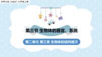 北师大版（2024）七年级上册（2024）生物体的器官、系统示范课ppt课件