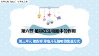 北师大版（2024）七年级上册（2024）植物在生物圈中的作用授课课件ppt