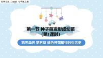 生物七年级上册（2024）种子萌发形成幼苗教学ppt课件
