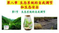 苏教版（2024）七年级下册（2024）生态系统的自我调节背景图课件ppt